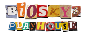 BIOSKY-PLAY-HOUSE-LOGO